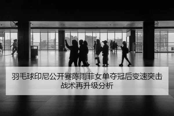 yu-mao-qiu-yin-ni-gong-kai-sai-chen-yu-fei-nv-dan-duo-guan-hou-bian-su-tu-ji-zhan-shu-zai-sheng-ji-fen-xi-2-401.jpg