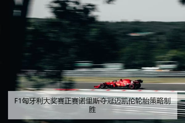 xiong-ya-li-da-jiang-sai-zheng-sai-nuo-li-si-duo-guan-mai-kai-lun-lun-tai-ce-lve-zhi-sheng-2-201.jpg
